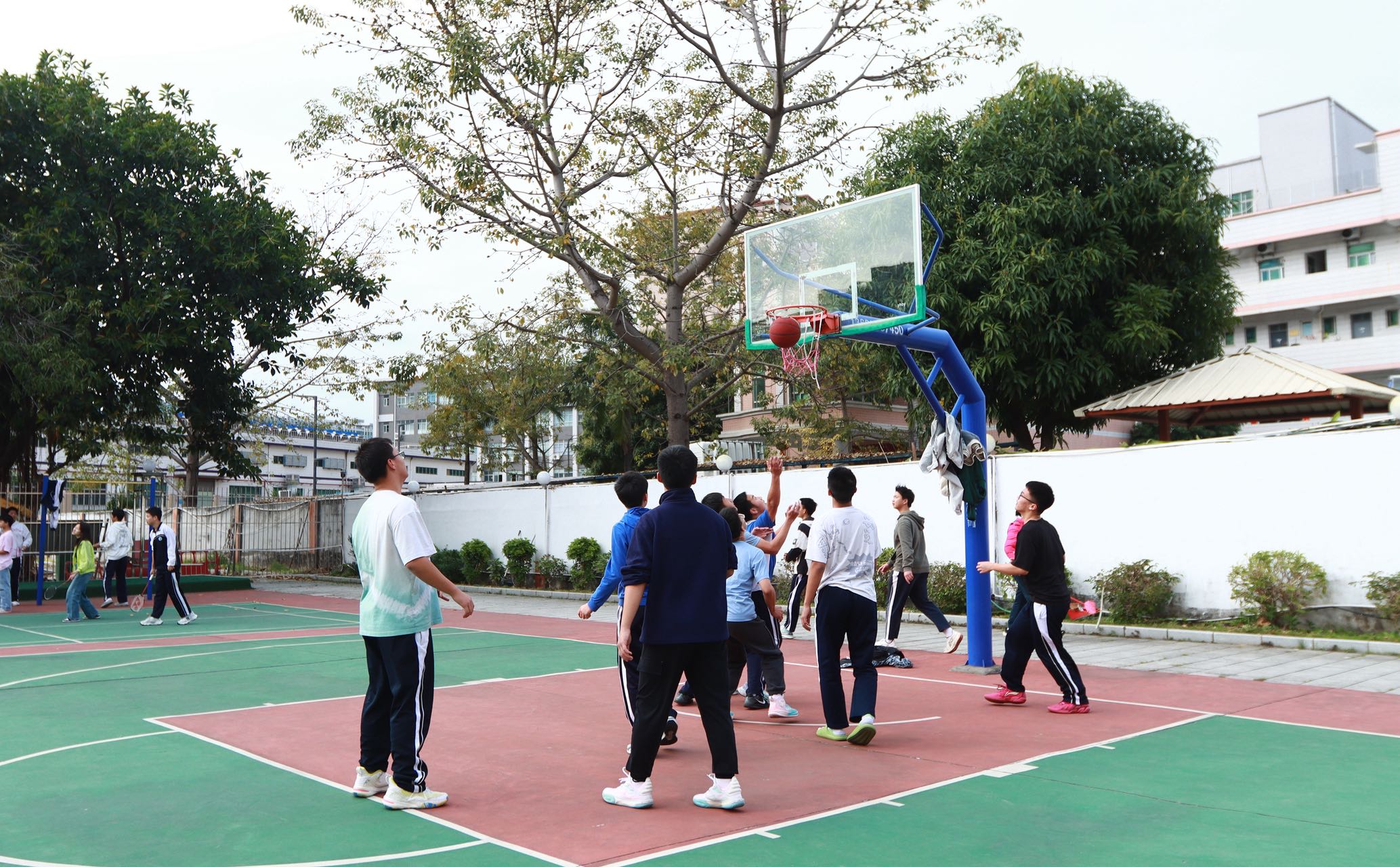 以梦为马，不负韶华 | 深圳好学升学生风采